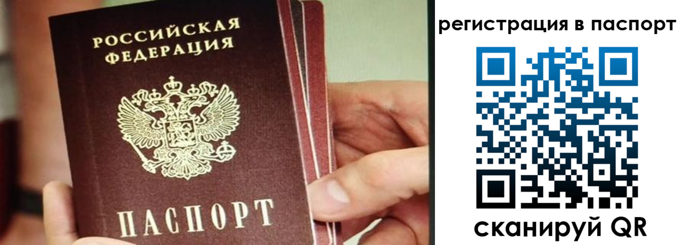 временная регистрация надежно в Моршанске